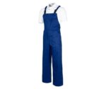 Pantalón peto de trabajo industria mecánicos pintores electricistas WorkTeam B2700