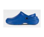 zuecos sanitarios originales