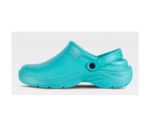 zuecos sanitarios originales