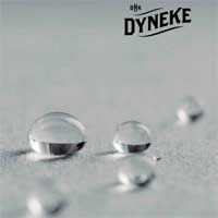 Dyneke – Catálogo de peluquería y estética estilo oriental
